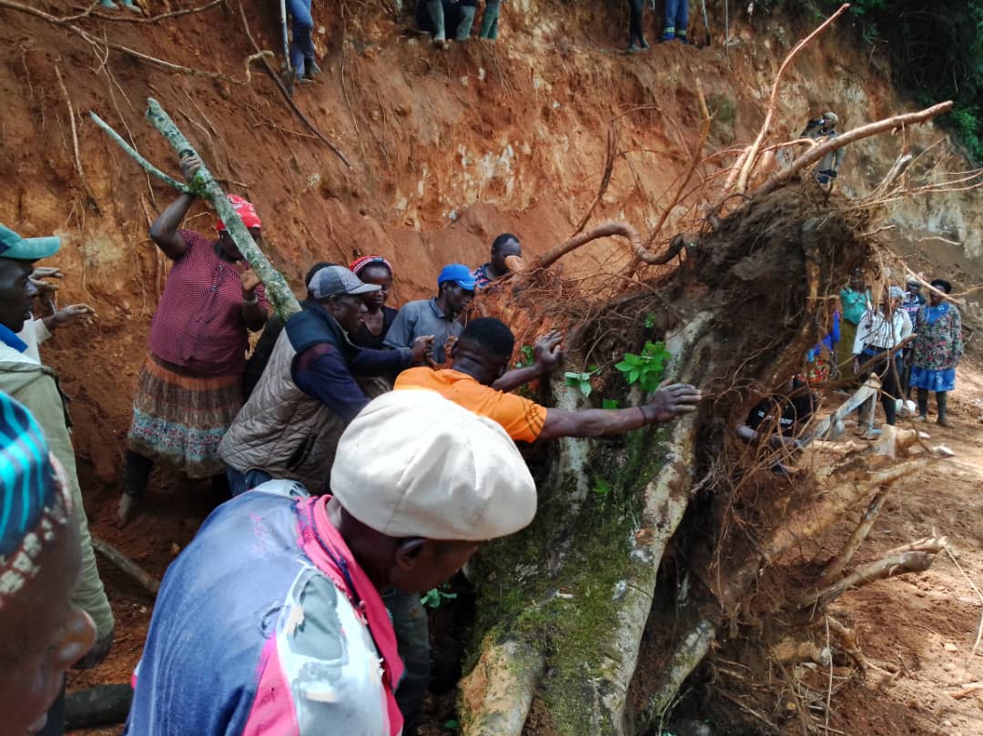 CLEANING LANDSLIDE ALONG TINECHUNG TONANGAI ROAD 01