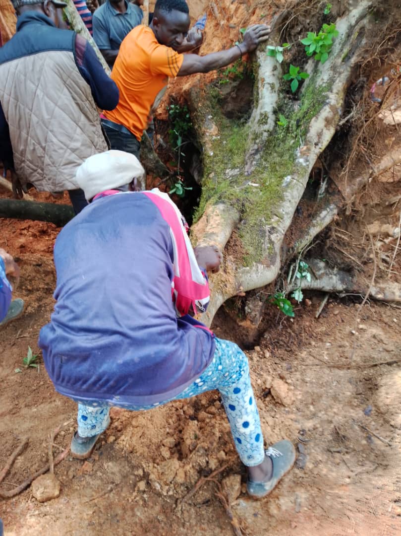 CLEANING LANDSLIDE ALONG TINECHUNG TONANGAI ROAD 02