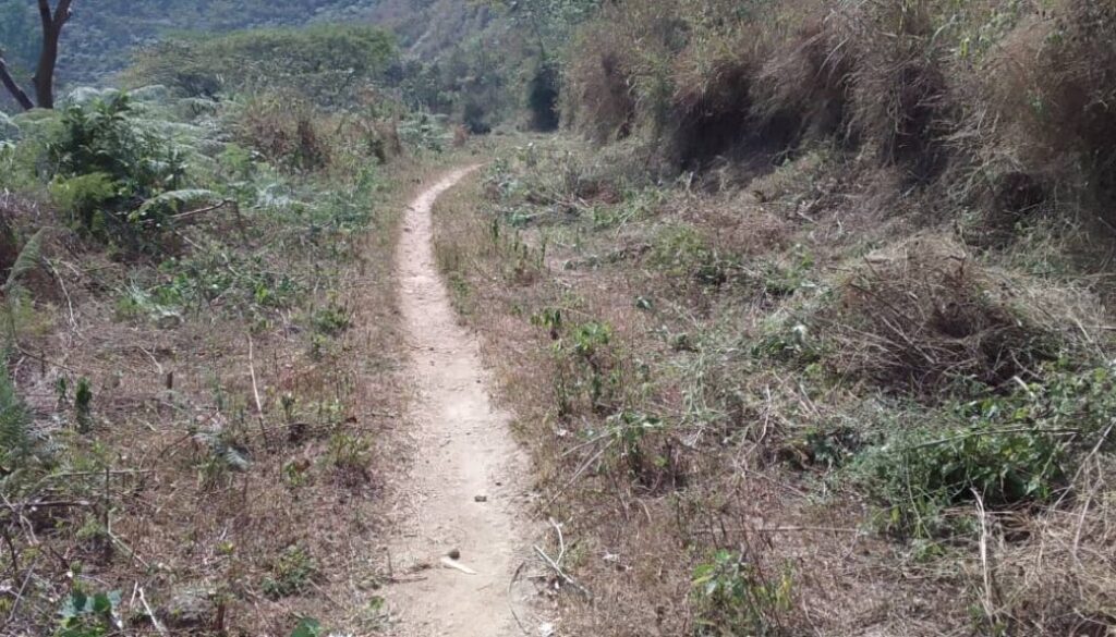 Rehabilitation of road from ACHANG towards Andek undertook by ACHANG people