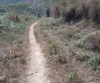 Rehabilitation of road from ACHANG towards Andek undertook by ACHANG people