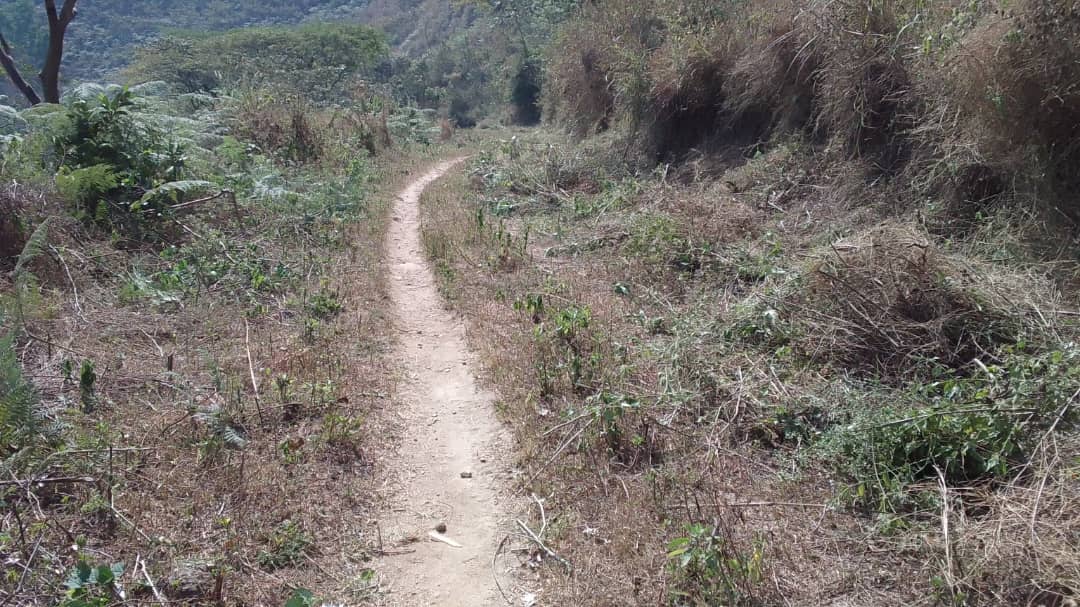 Rehabilitation of road from ACHANG towards Andek undertook by ACHANG people